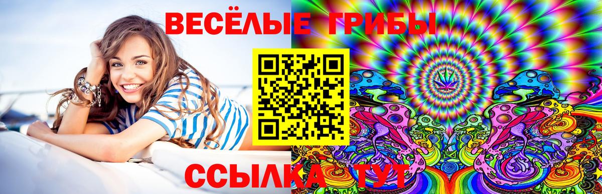 Галлюциногенные грибы Psilocybe  Псилоцибиновые грибы мицелий  Вход с VPN  Тында 